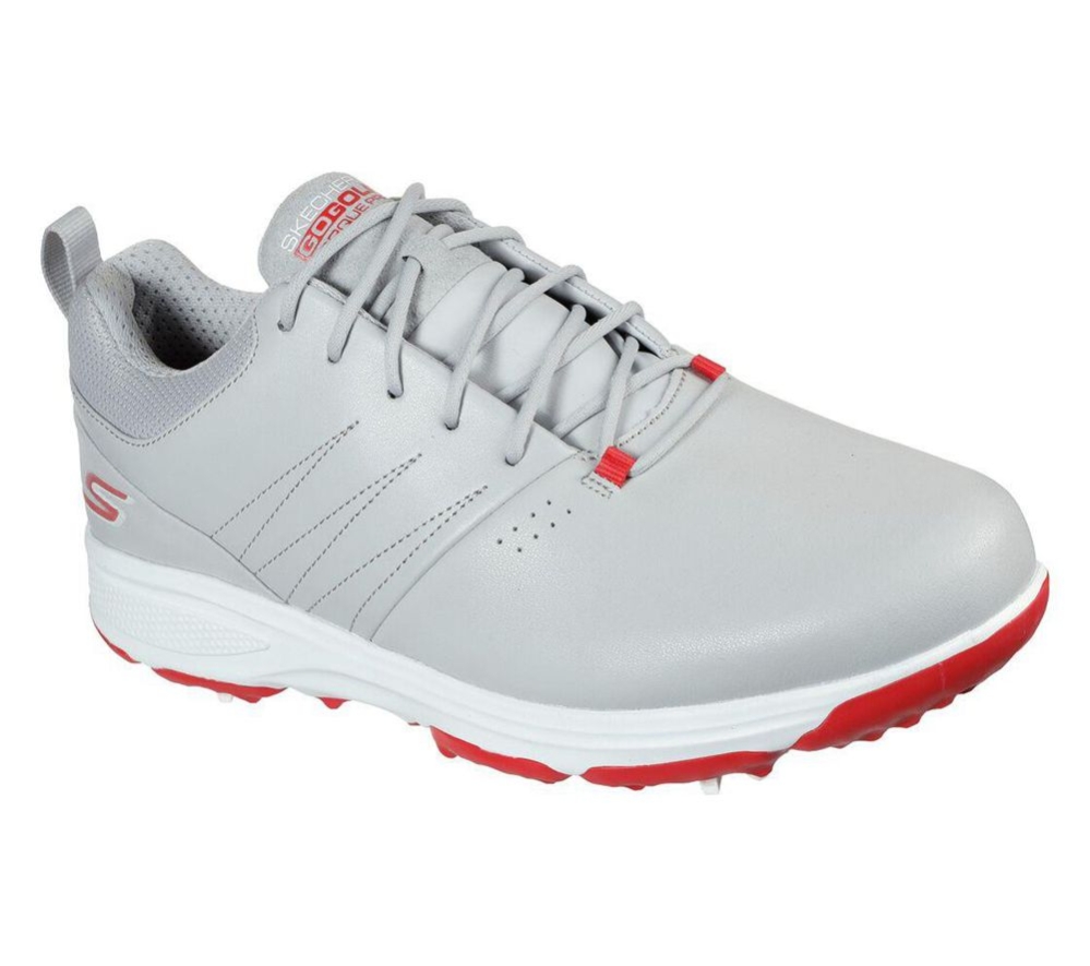 Skechers GO GOLF Torque - Pro Men\'s Golf Shoes Grey Red | HVYO84613