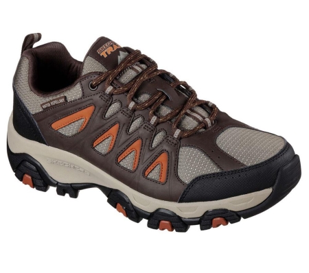 Skechers Terrabite Men's Hiking Shoes Brown Orange | ENUD36247